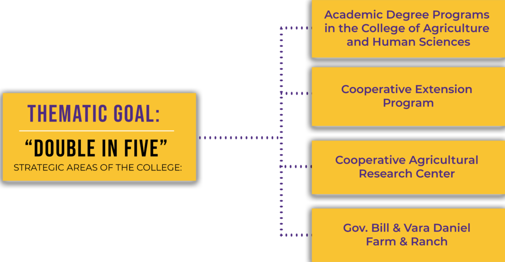CAHS Thematic Goal Diagram