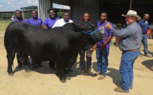 Students Attend 100 Ranchers Beef Cattle Selection Workshop