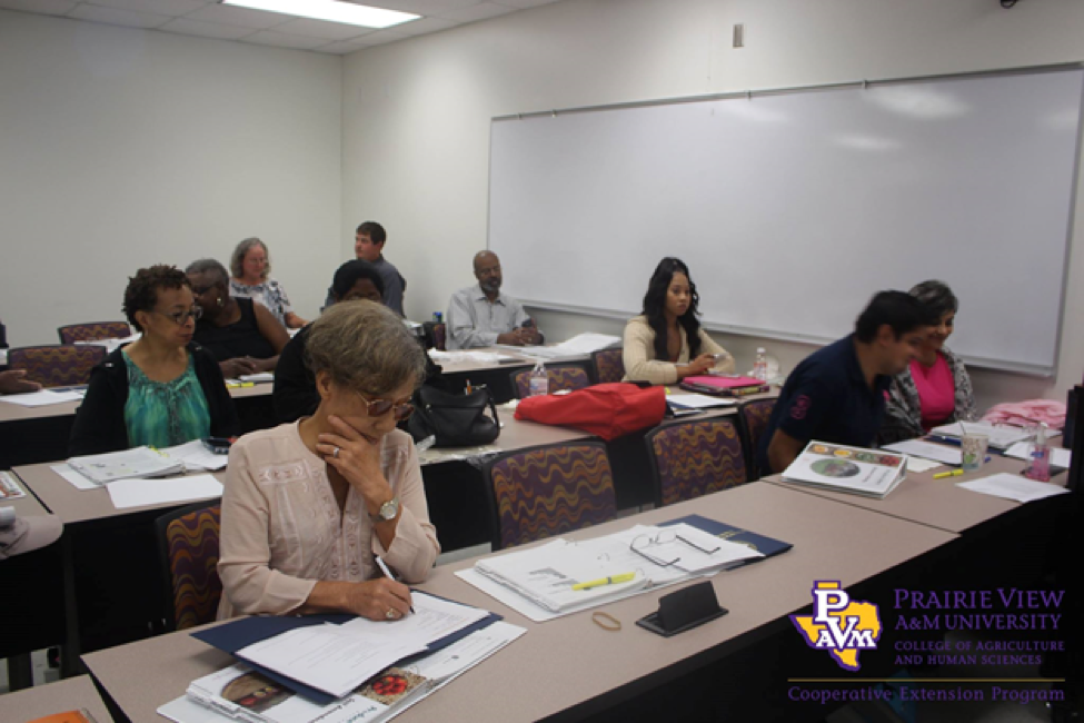 Food Safety and GAP Training Participants during a session