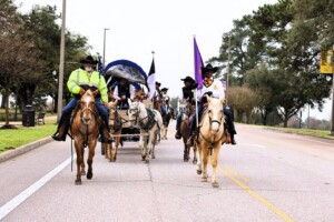 Goal 5: Increase partnerships and community development