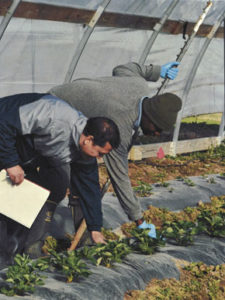 Ripendra Awal and Peter Ampim during the installation of Soil Moisture Sensors