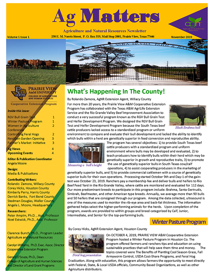 November 2019 newsletter cover page