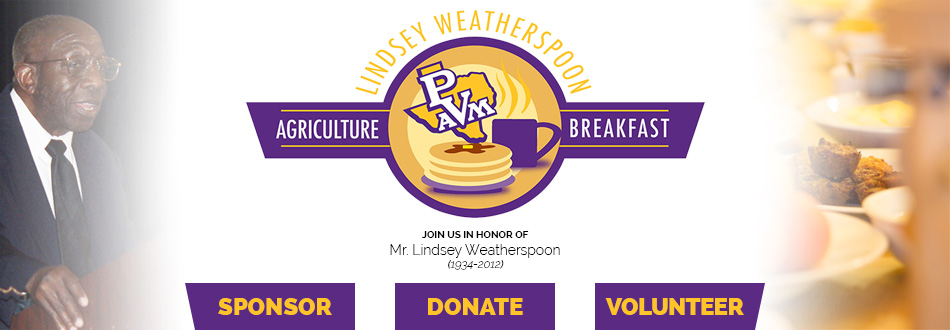LindseyWeatherspoon-Header