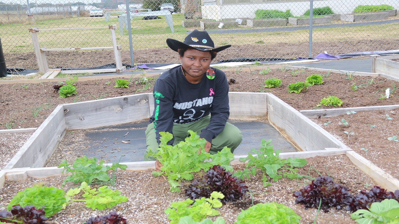 PRAIRIE VIEW A&M UNIVERSITY DONATES TO THE HOUSTON FOOD BANK College of Agriculture and Human
