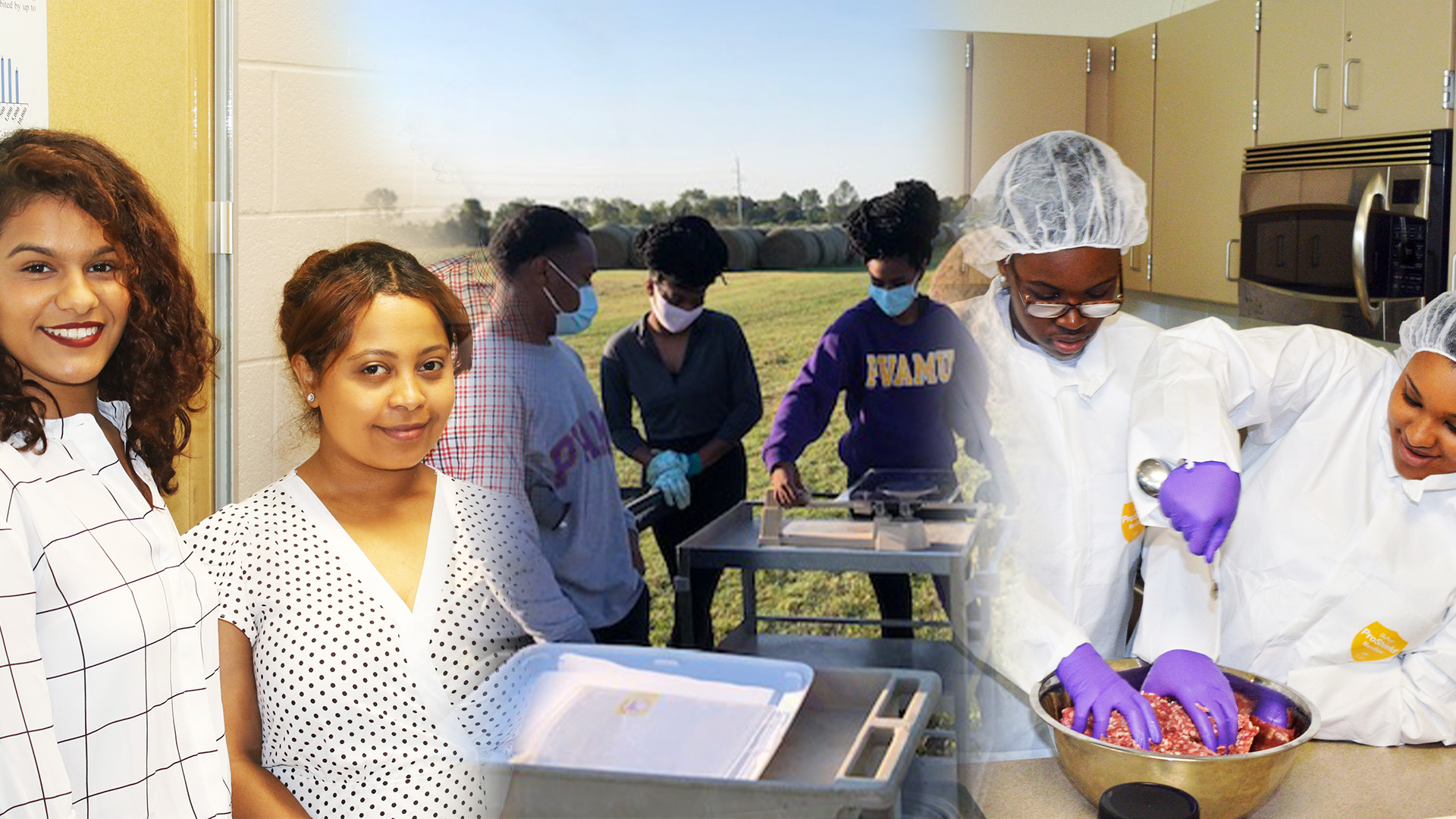 Apprentice Ecologist Scholarship3