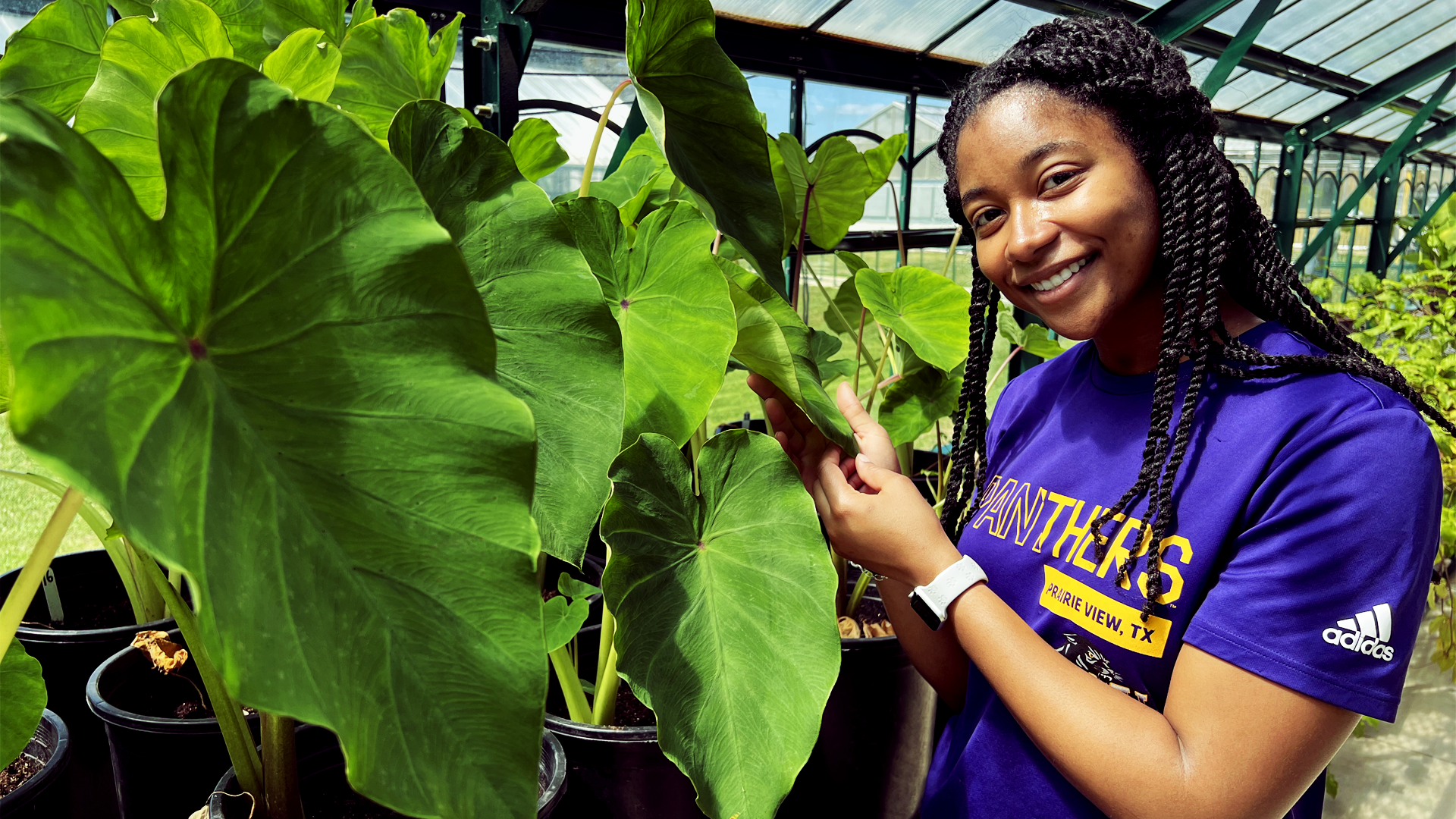 Main Banner High Res