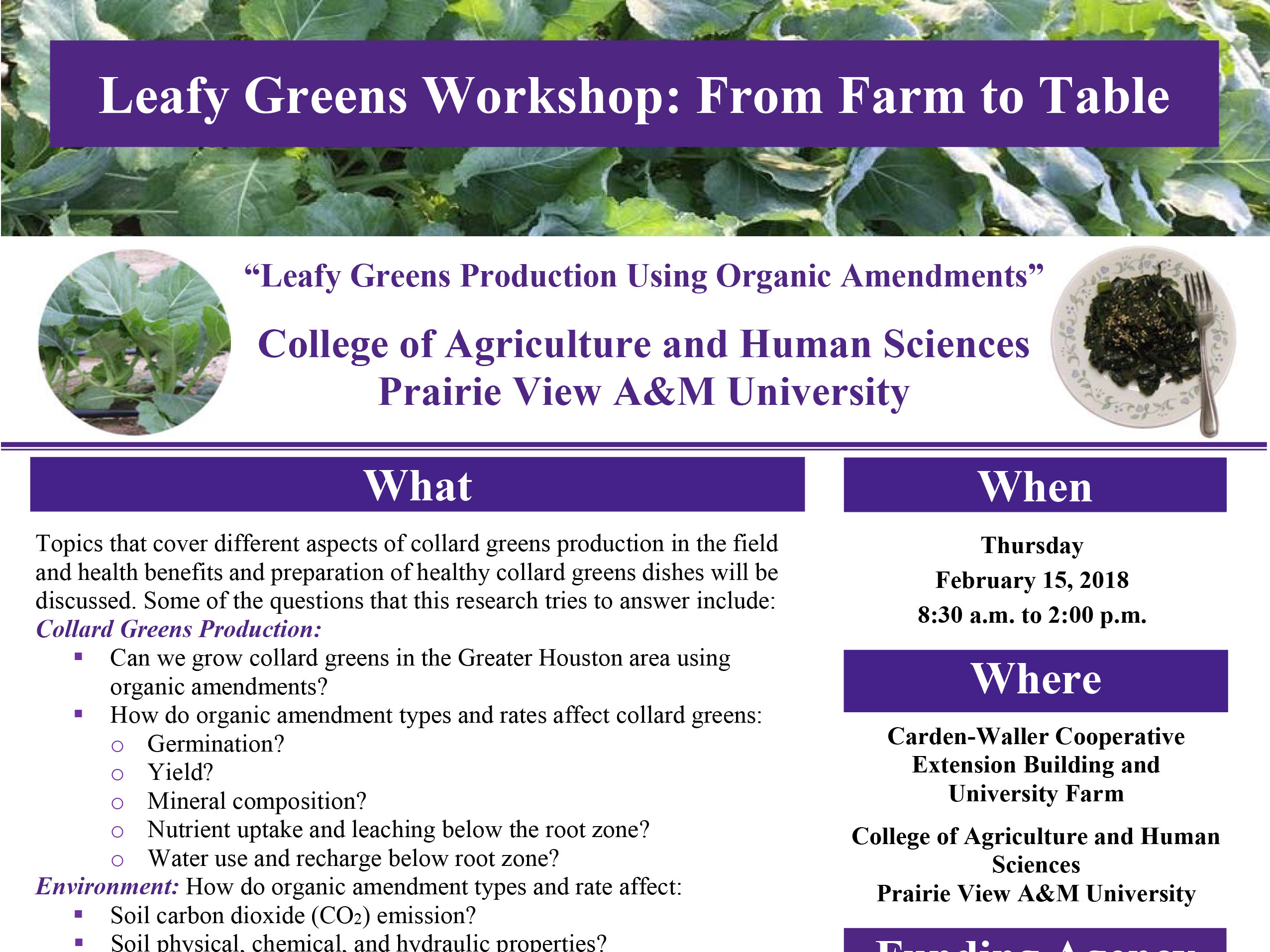 Leafy Greens From Farm to Table College of Agriculture and