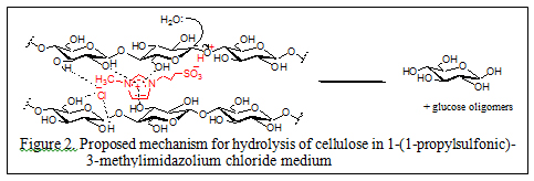 Proposed mechanism for hydrolysis of cellulose in 1-(1 -propylsulfonic)- 3-methylimidazolium chloride medium