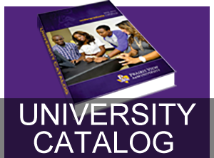 University Catalog