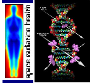 Space Radiation Health