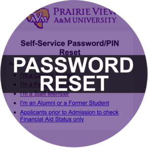 Password Reset
