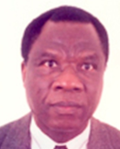 Dr. Micheal Gyamerah (Associate Professor)