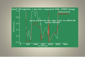 Samples of Ecological studies Related to Remote Sensing and Research in Brackish water