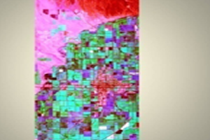 Samples of Ecological studies Related to Remote Sensing and Research in Brackish water