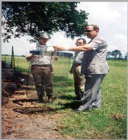 TEXGED - Field work in progress