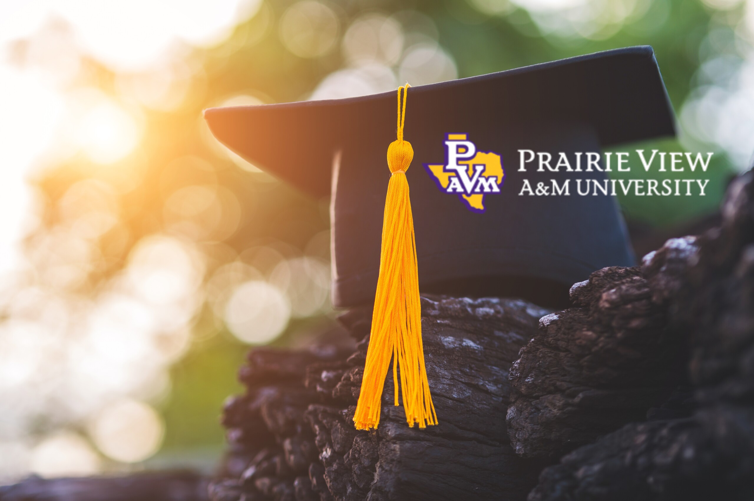 graduate doctoral gap on top of black stone with pv logo