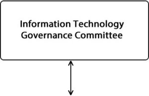 Information Technology Governance Committee