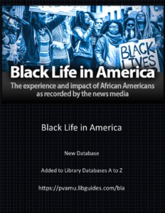 Black Life in America