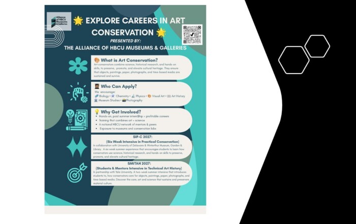 preservation internship