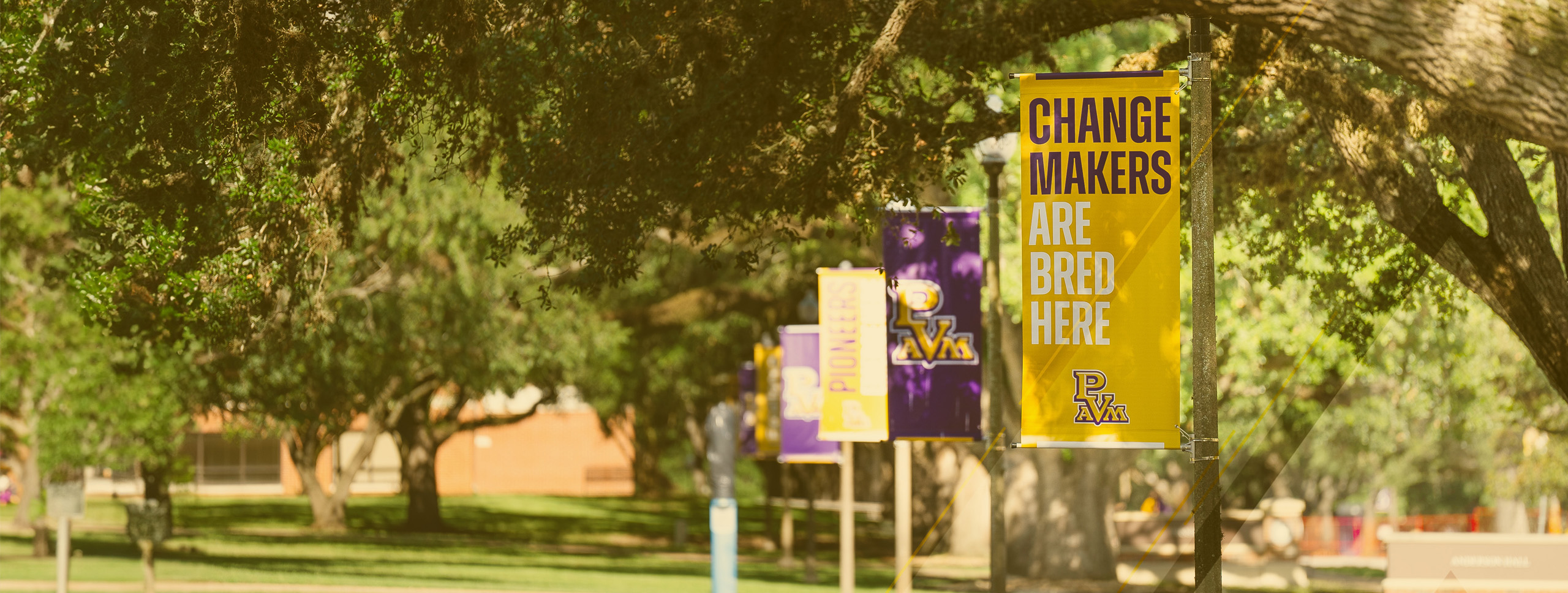 Colorful banners hanging from trees in a campus setting, featuring messages about change makers and pioneers in education.