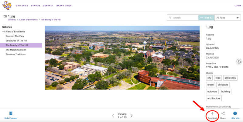 Arrow pointing to download image