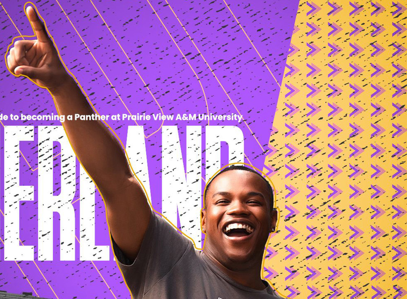 PantherLand Case Study