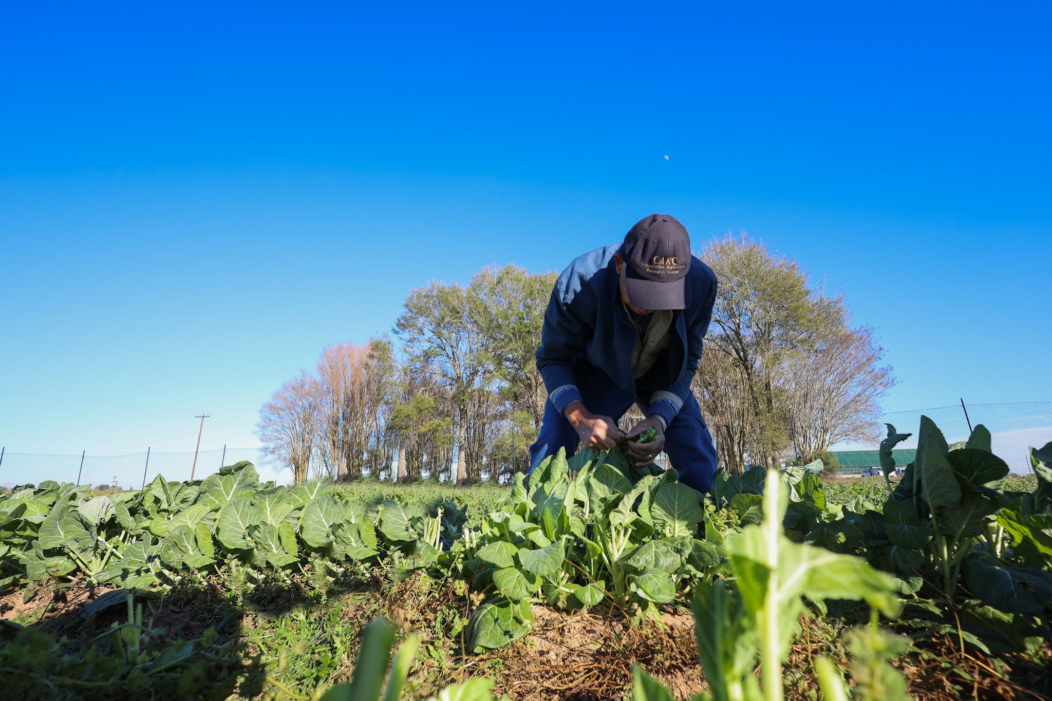 More Than Land: Cultivating the Future