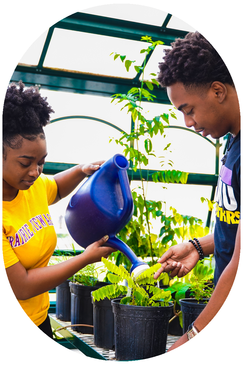 Specialty Greenhouses