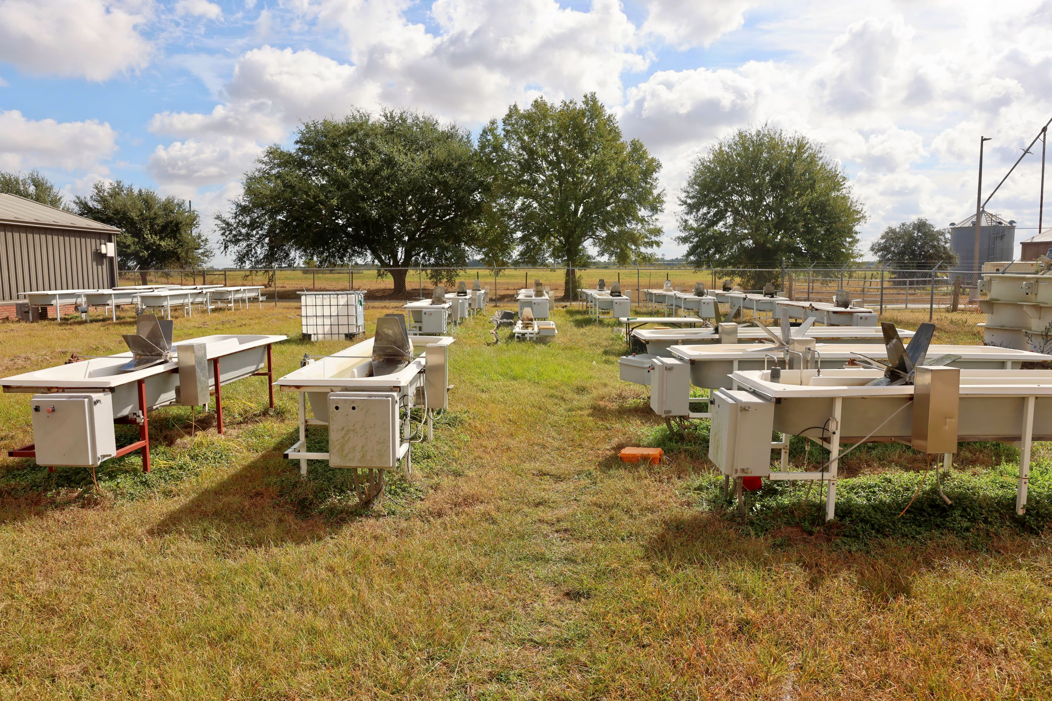 Algae Center of Excellence