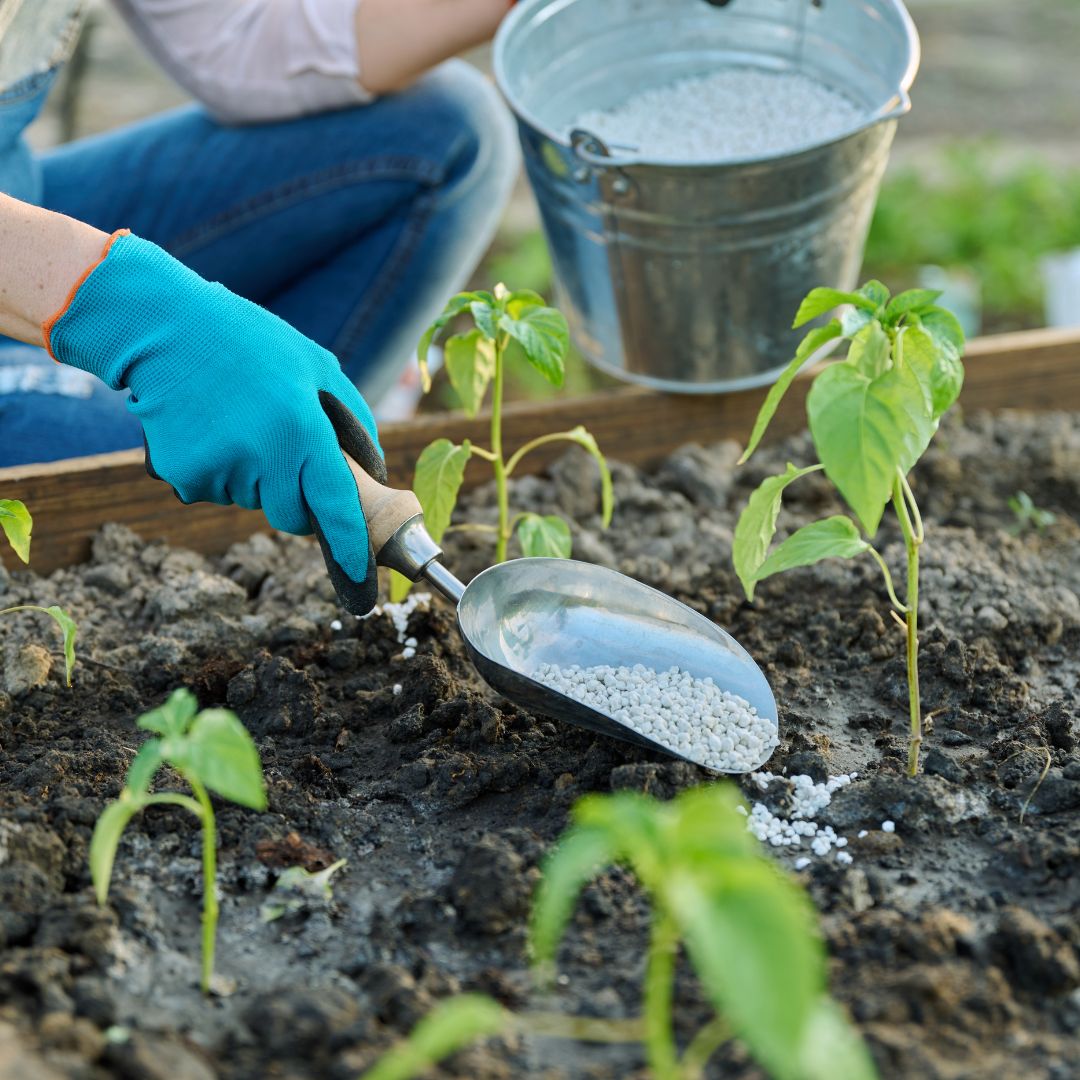 Researcher working with plants