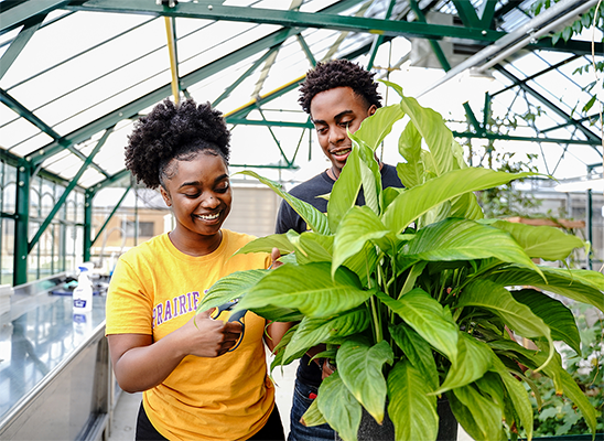College of Agriculture, Food, and Natural Resources