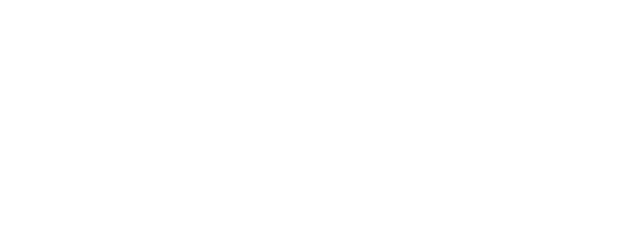 Welcome to the Experience