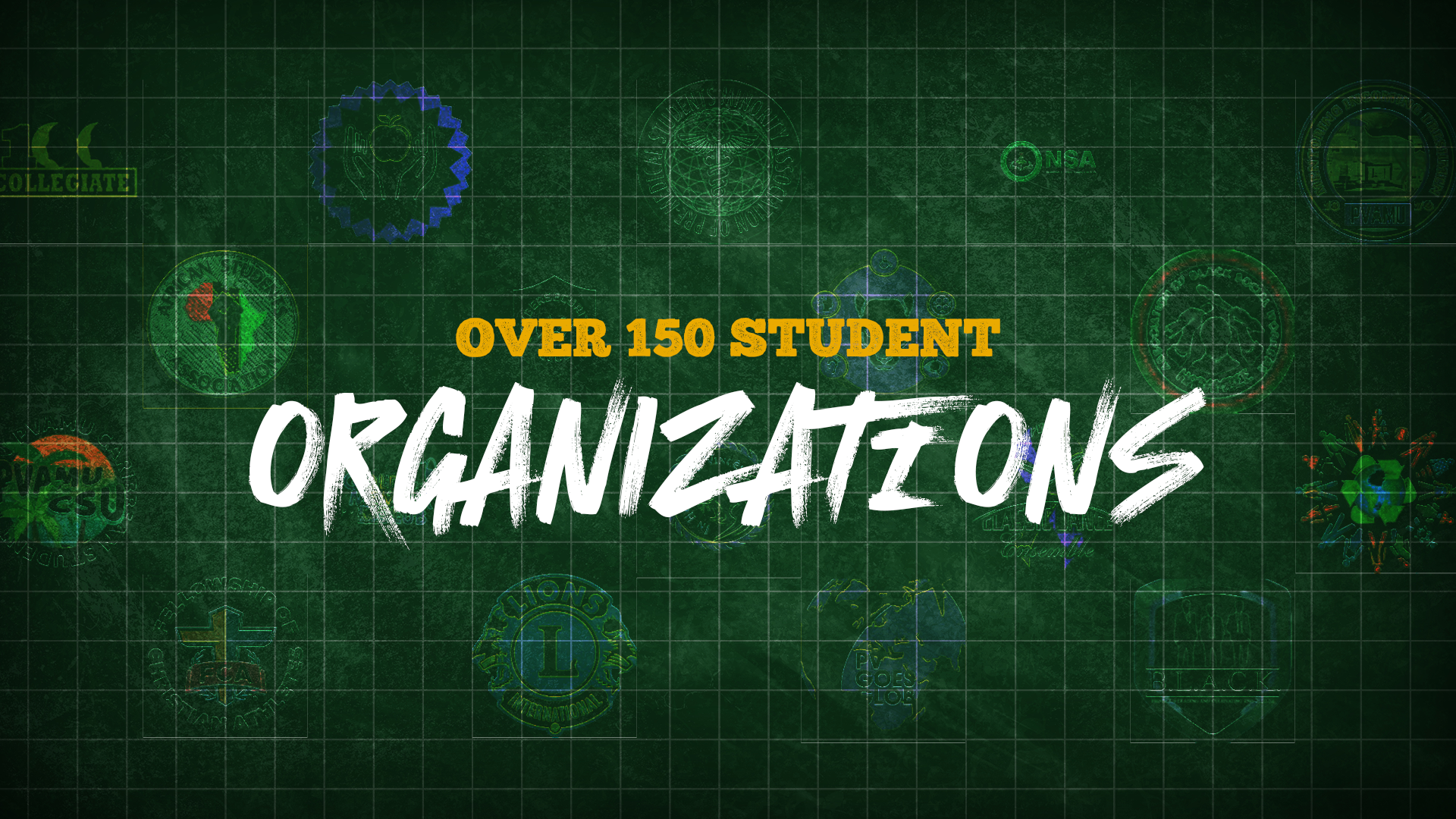 Over 150 Student Organizations