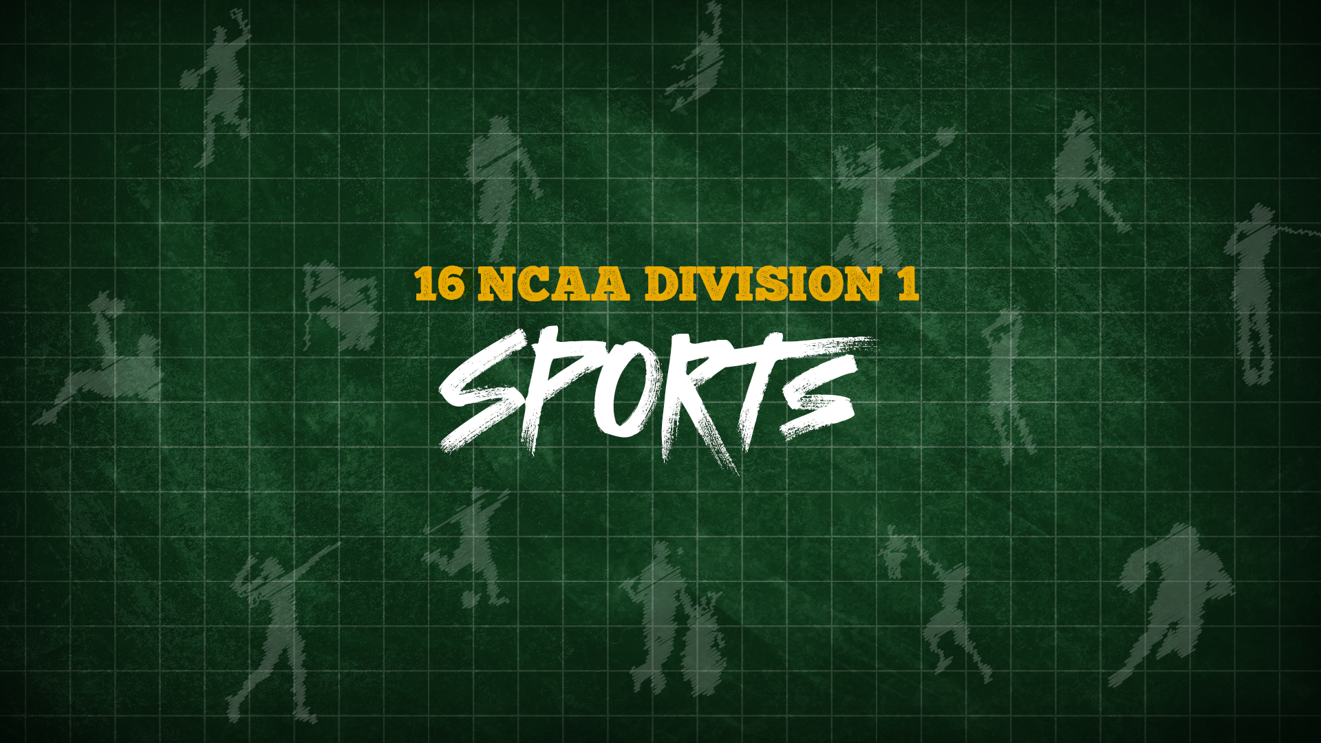 16 NCAA Division 1 Sports