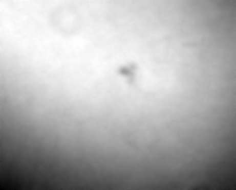 Sep. 22, 16:18 UT, N26W27