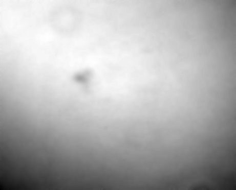 Sep. 22, 16:27 UT, N26W27