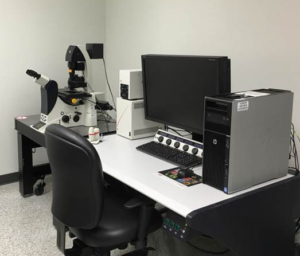The Leica TCS SP8 Confocal Laser Scanning Microscope With Live Cell Imaging