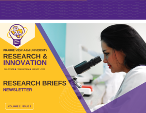 Research and Innovation