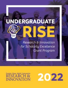 Undergraduate Rise 