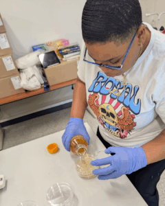 Alliere working in the lab