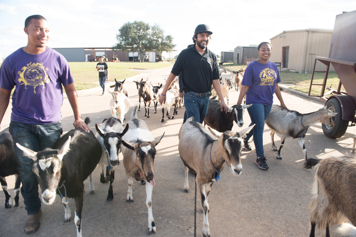 Research Goat Program