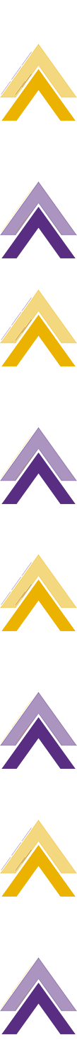 Golden Arrow 4