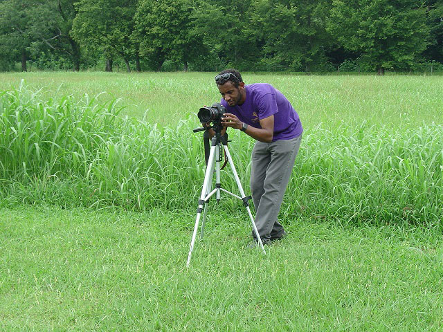 Cane-River-Creole-National-Park-13