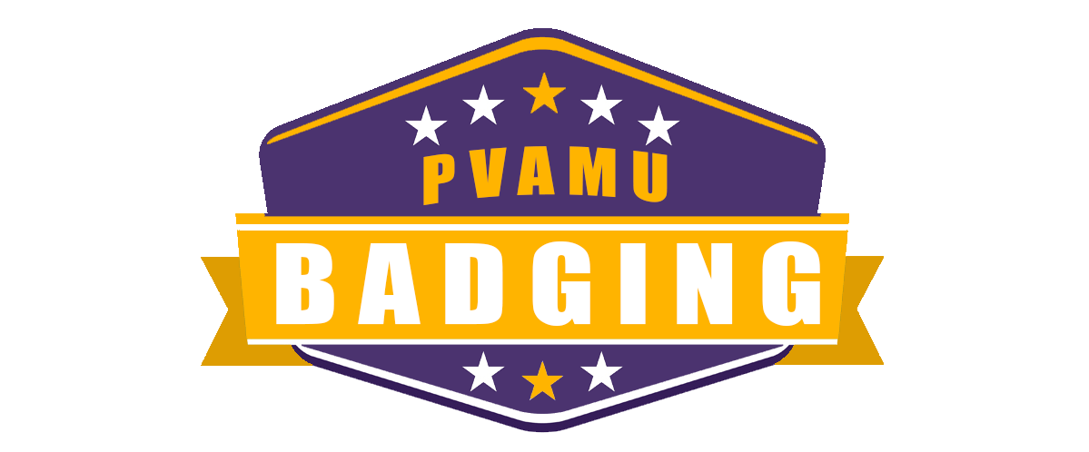 Earn A Badge