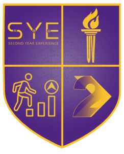 Earn the SYE Badge