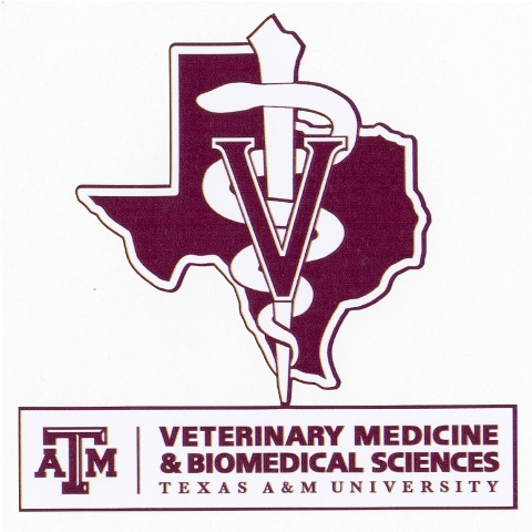CVM Today - Summer 2015 by Texas A&M School of Veterinary Medicine