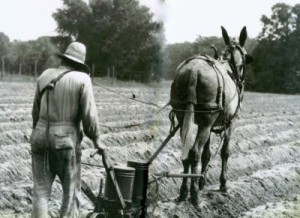 40-acres-and-a-mule-1930-1