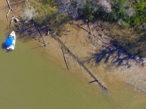 Site of partially buried remains of the Clotilda alongside an island in the lower Mobile-Tensaw Delta near Mobile, Ala. Credit: Al.com.