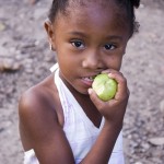 Picture of Afro Mexican culture