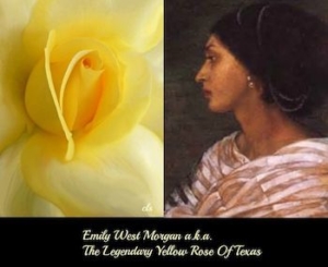 The Yellow Rose of Texas